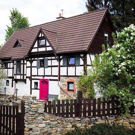 Villa Za Rozowymi Drzwiami Jelenia Góra Exterior foto